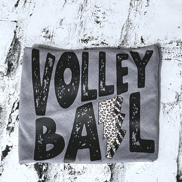 Volley Ball